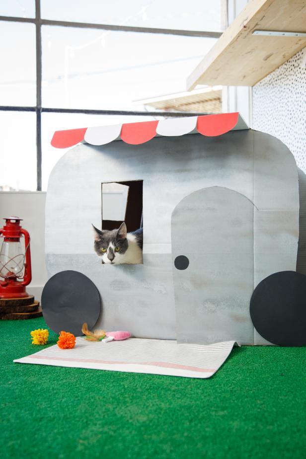 How To Make DIY Cat Activity Tent/Gym for Your Cat! Fun Craft Idea To Help  Your Cat Be More Active! 